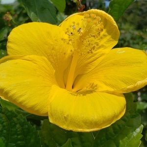 Meet your Posher, Mary elizabeth